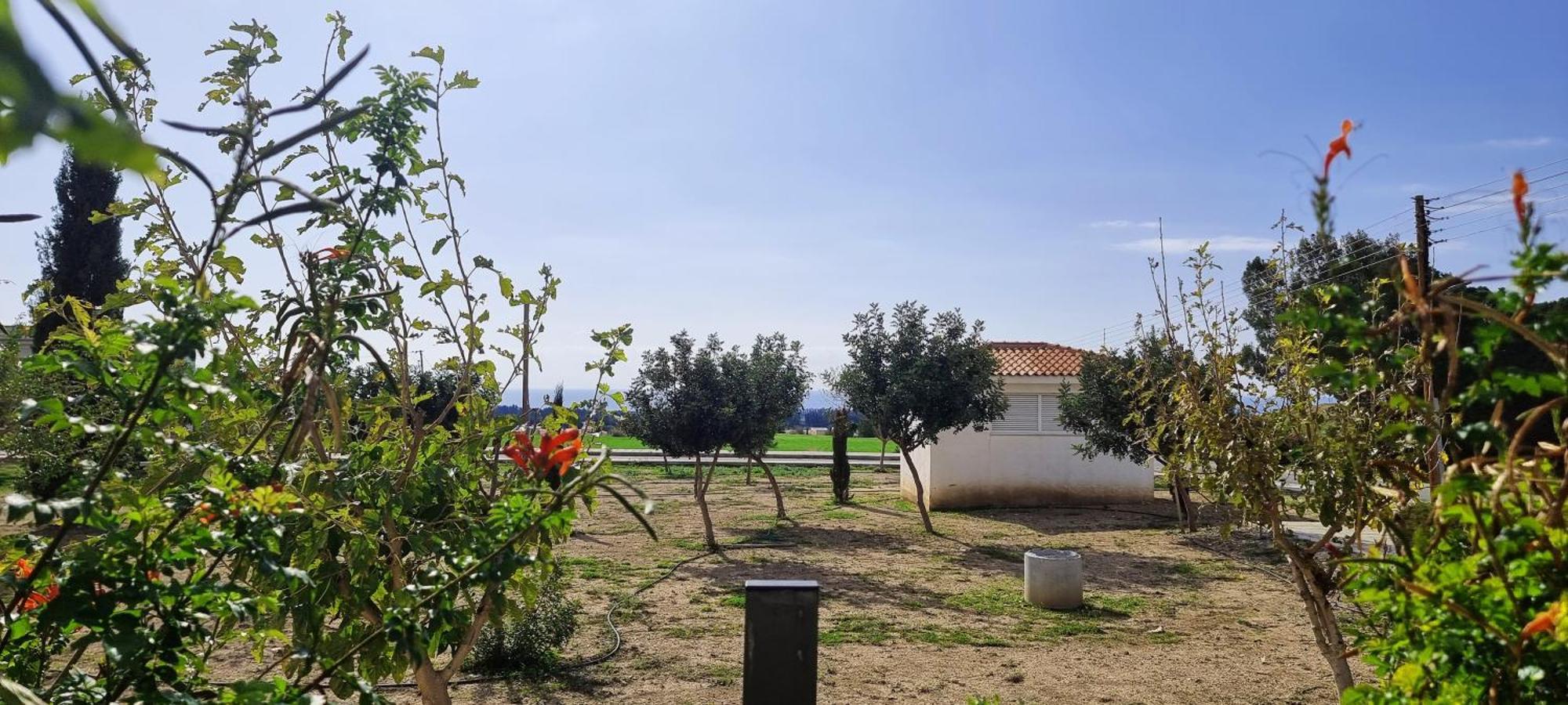 Shanti Paphos Villa ภายนอก รูปภาพ