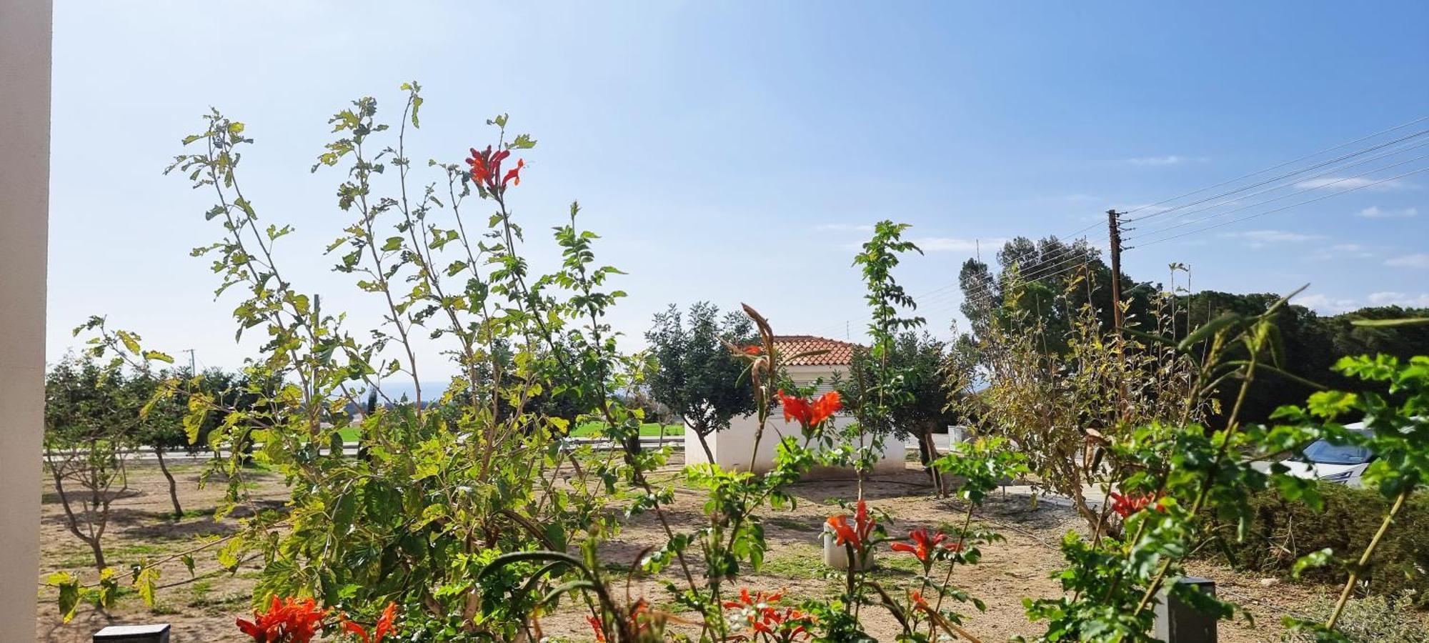 Shanti Paphos Villa ภายนอก รูปภาพ