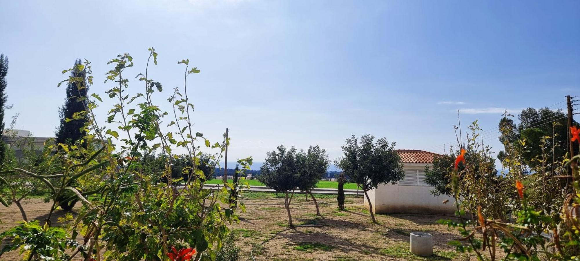 Shanti Paphos Villa ภายนอก รูปภาพ